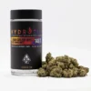HYDROTIC - DESIGNER FLOWER