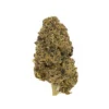 COCONUT HORCHATA (INDICA)