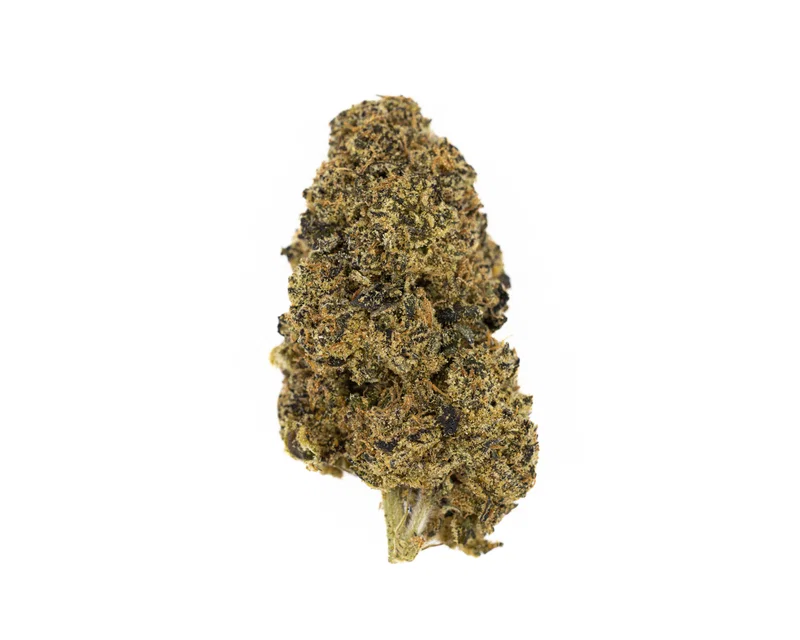 COCONUT HORCHATA (INDICA)
