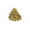LSOG SNOW RYDER (INDICA) (JACKS ORGANICS)