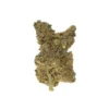 STAR GAZER ( INDICA)