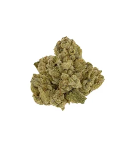 AJ SNOW WHITE (INDICA HYBRID)
