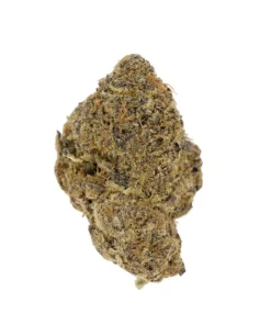ROYAL GLAZE (SATIVA HYBRID)