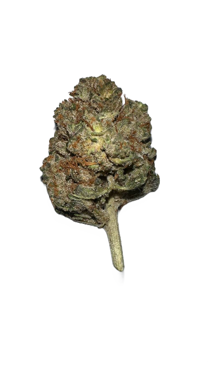 UK Stardawg