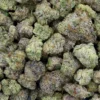 ICE CREAM CAKE BX (INDICA) OZ SPECIAL