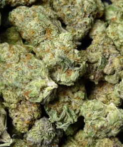 TONY TUX - LEMON CHERRY PIE (SATIVA) OZ SPECIAL