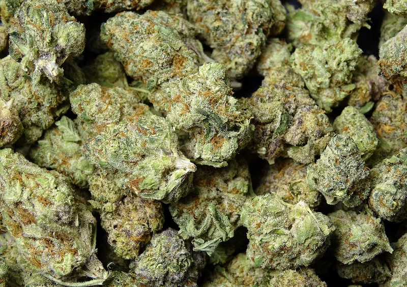 TONY TUX - LEMON CHERRY PIE (SATIVA) OZ SPECIAL