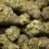 TONY TUX - RAINBOW SHERB (SATIVA) OZ SPECIAL