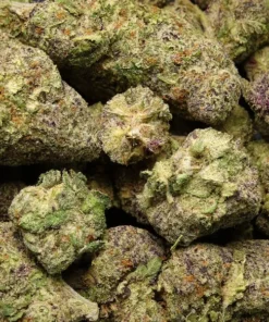 TONY TUX - RAINBOW SHERB (SATIVA) OZ SPECIAL