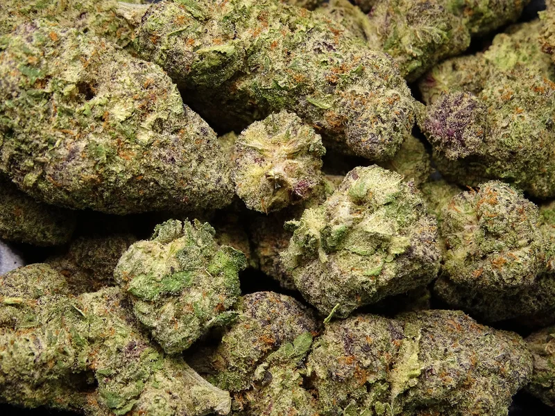 TONY TUX - RAINBOW SHERB (SATIVA) OZ SPECIAL